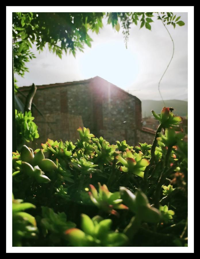 La Belle D'Ame - Guest House Prades (Pyrenees-Orientales) Exterior foto