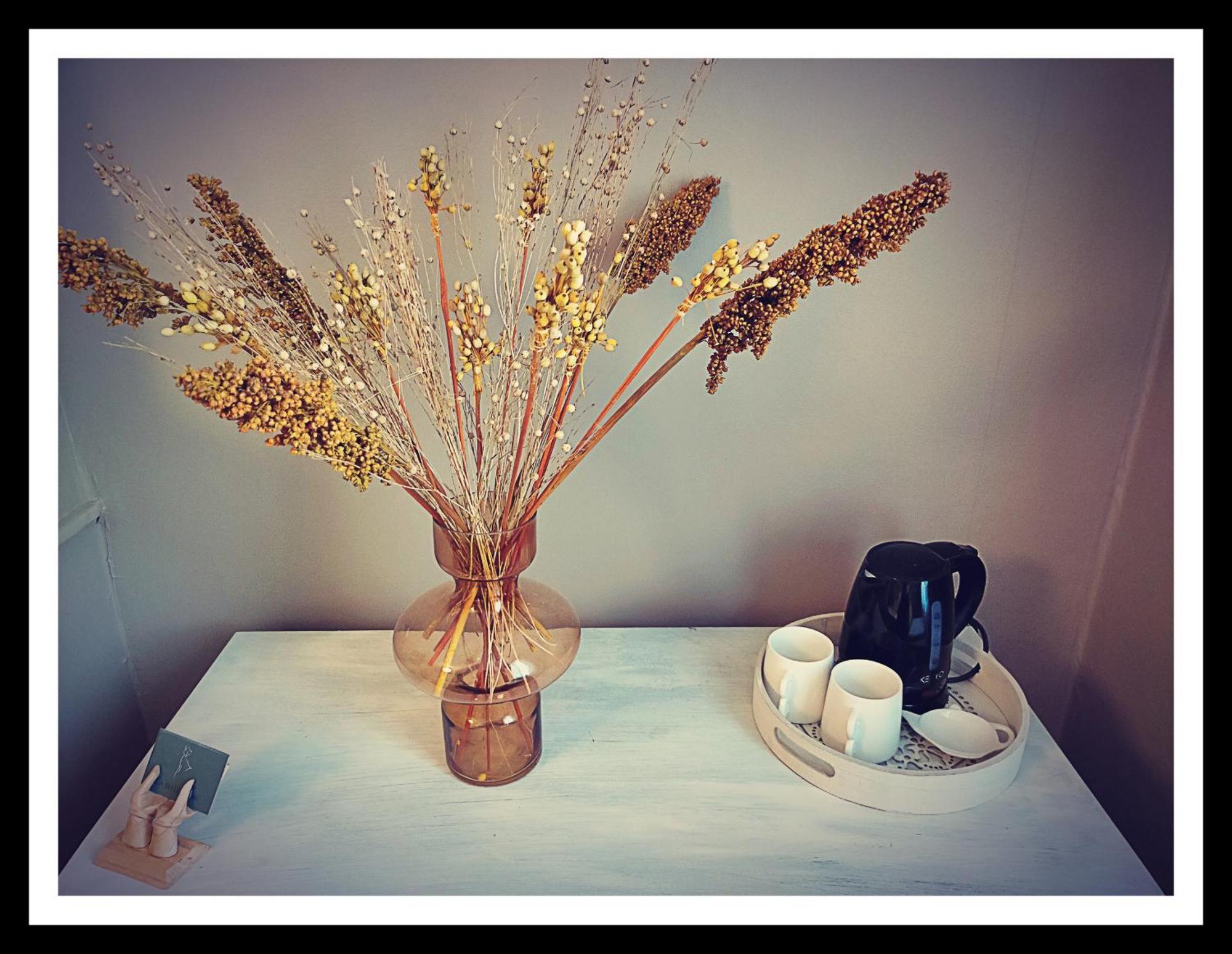 La Belle D'Ame - Guest House Prades (Pyrenees-Orientales) Quarto foto